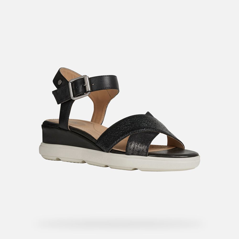 Geox Sandals Black Pisa - Geox Womens Shoes - KMVQGO286